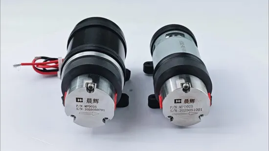 中国メーカー小流量低圧液体移送水量計量ポンプ充填用容積式マイクロ磁気ギアポンプ